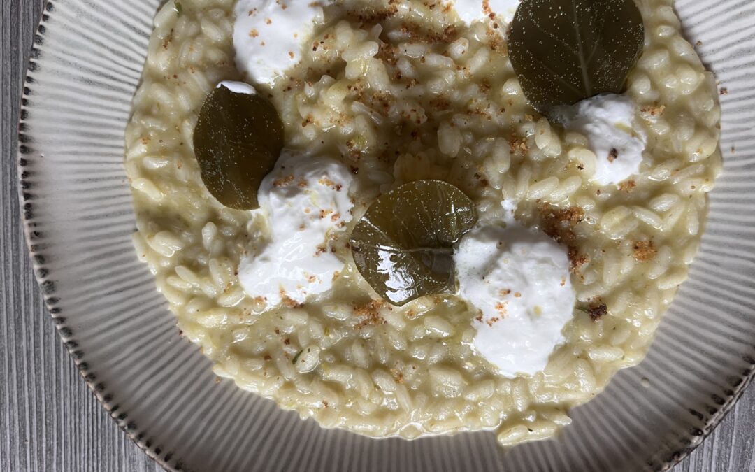 PEPERONI FRIGGITELLI DOLCI, BURRATA, FOGLIE DEL CAPPERO, VIALONE NANO MELOTTI